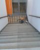 Strahlen_042